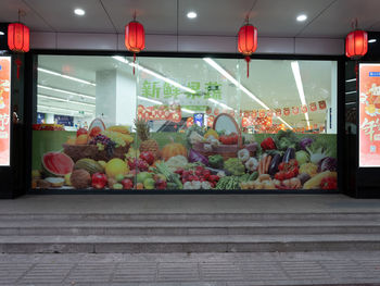 View of flowering plants at night