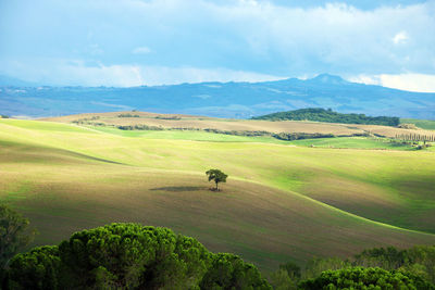 Scenic view of landscape against sky