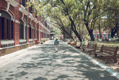 Rear view of person walking on footpath amidst trees in city