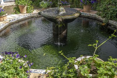 Water fountain in park