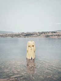 Rear view of person standing on sea shore against sky