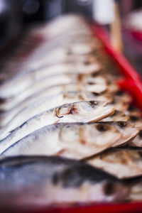 Fish for sale at market stall