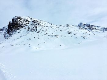 Flock of birds flying over snowcapped mountains against sky