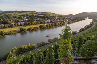 Panoramic view of the moselle valley with the wine village brauneberg in the background