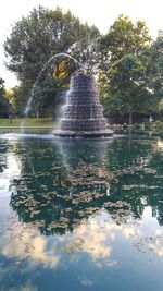 Reflection of trees in water