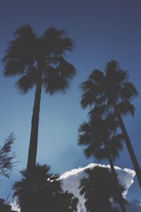 Low angle view of palm trees against clear blue sky