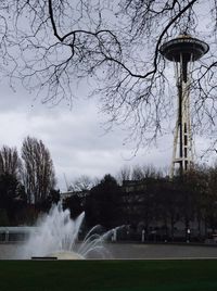 View of bare trees against sky