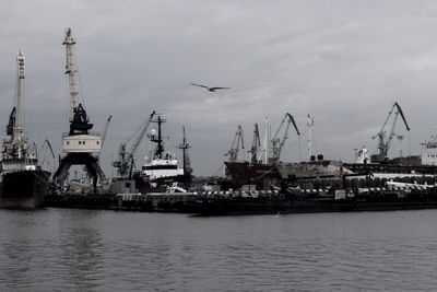 Cranes at harbor