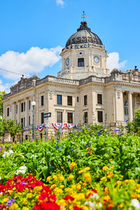 Low angle view of flowering plants against building