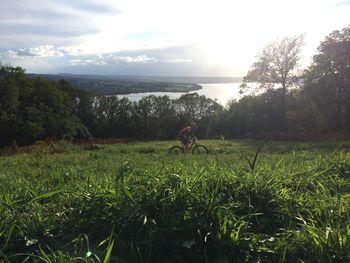 Scenic view of grassy field against sky