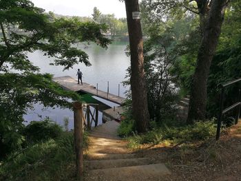 Footpath amidst trees in forest