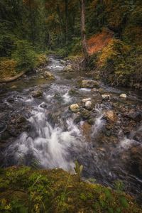Scenic view of waterfall