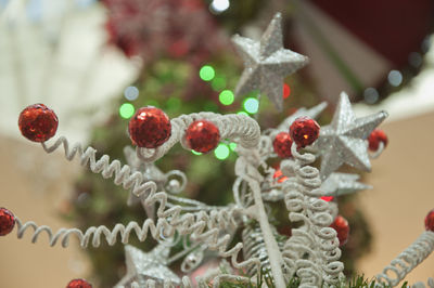 Close-up of berries on christmas tree