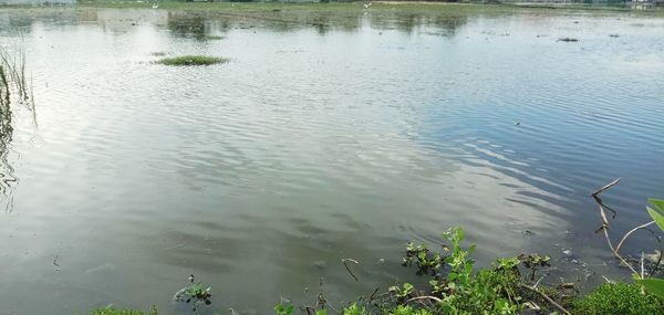 High angle view of lake