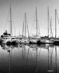 Boats moored in harbor