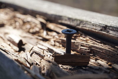 High angle view of rusty chain on wooden plank