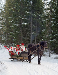 Santa in sled