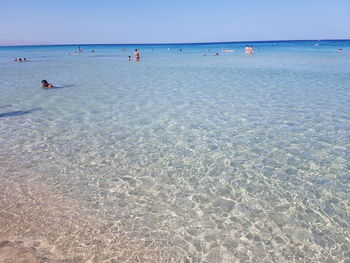 People enjoying in sea