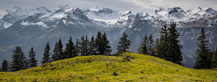 Scenic view of snow covered land and mountains