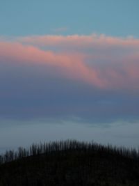 Scenic view of trees against sky during sunset