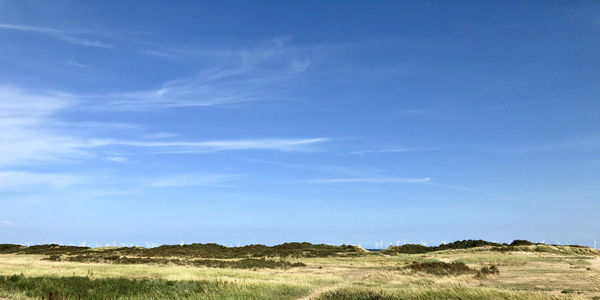 Scenic view of field against blue sky