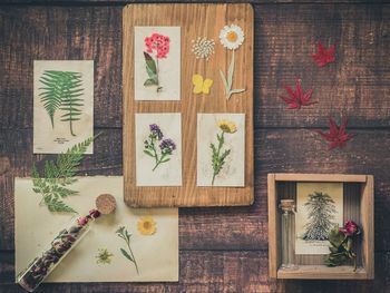 High angle view of various flowers on table