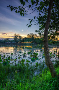 Scenic view of lake against sky during sunset