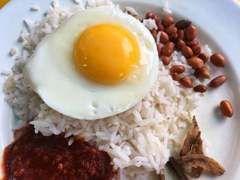 Close-up of lunch served in plate