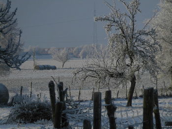 Bare trees on snow field against sky