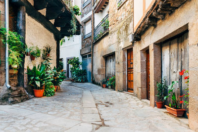 Alley amidst buildings in city