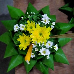 Close-up of yellow flowering plant