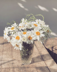 Close-up of white flowers on table