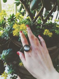 Close-up of woman hand holding flower