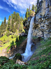 Scenic view of waterfall in forest