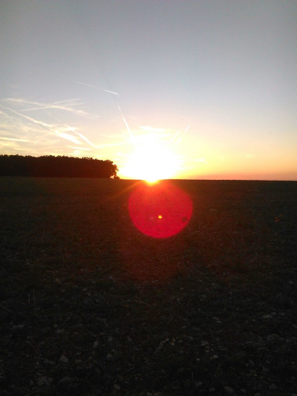 SUNSET OVER FIELD