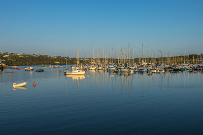 Sailboats moored in harbor against clear sky