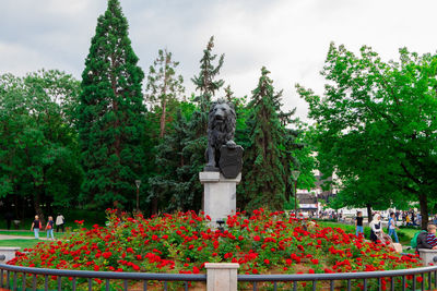 View of flowering plants against trees in park