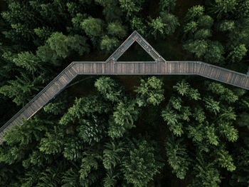 View of bridge in forest