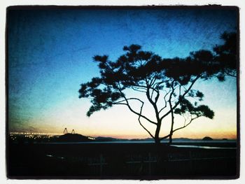 Silhouette of bare tree against sunset sky