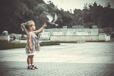 Full length of girl pointing at bird while standing on street