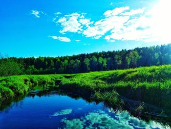 Scenic view of lake in forest against sky