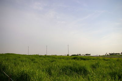 Scenic view of field against sky