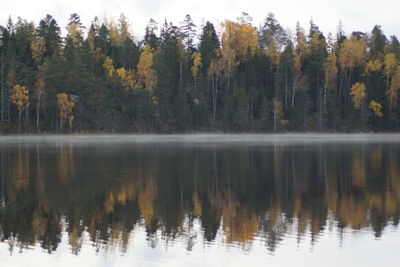 Reflection of trees in lake against sky