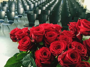 Close-up of red rose