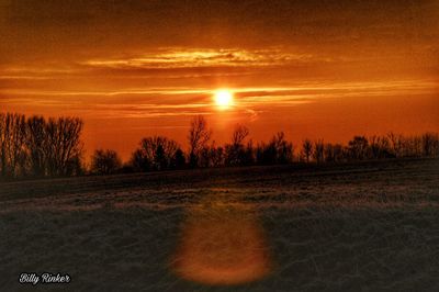 Silhouette trees on field against orange sky