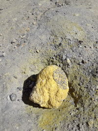 High angle view of stones on shore