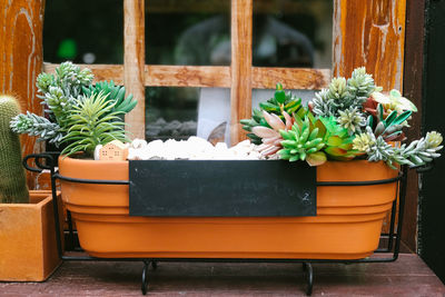 Small plants in clay pot decorate outside the window