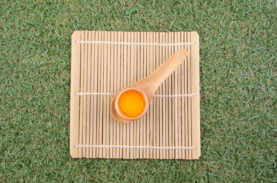 Directly above shot of grass