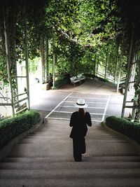 Rear view of woman walking amidst trees