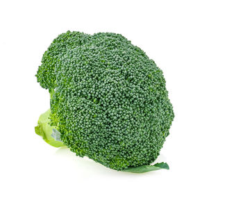 Close-up of green leaf against white background